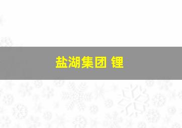 盐湖集团 锂